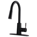 Tehila High-Arc Pull-Down Kitchen Faucet in Matte Black