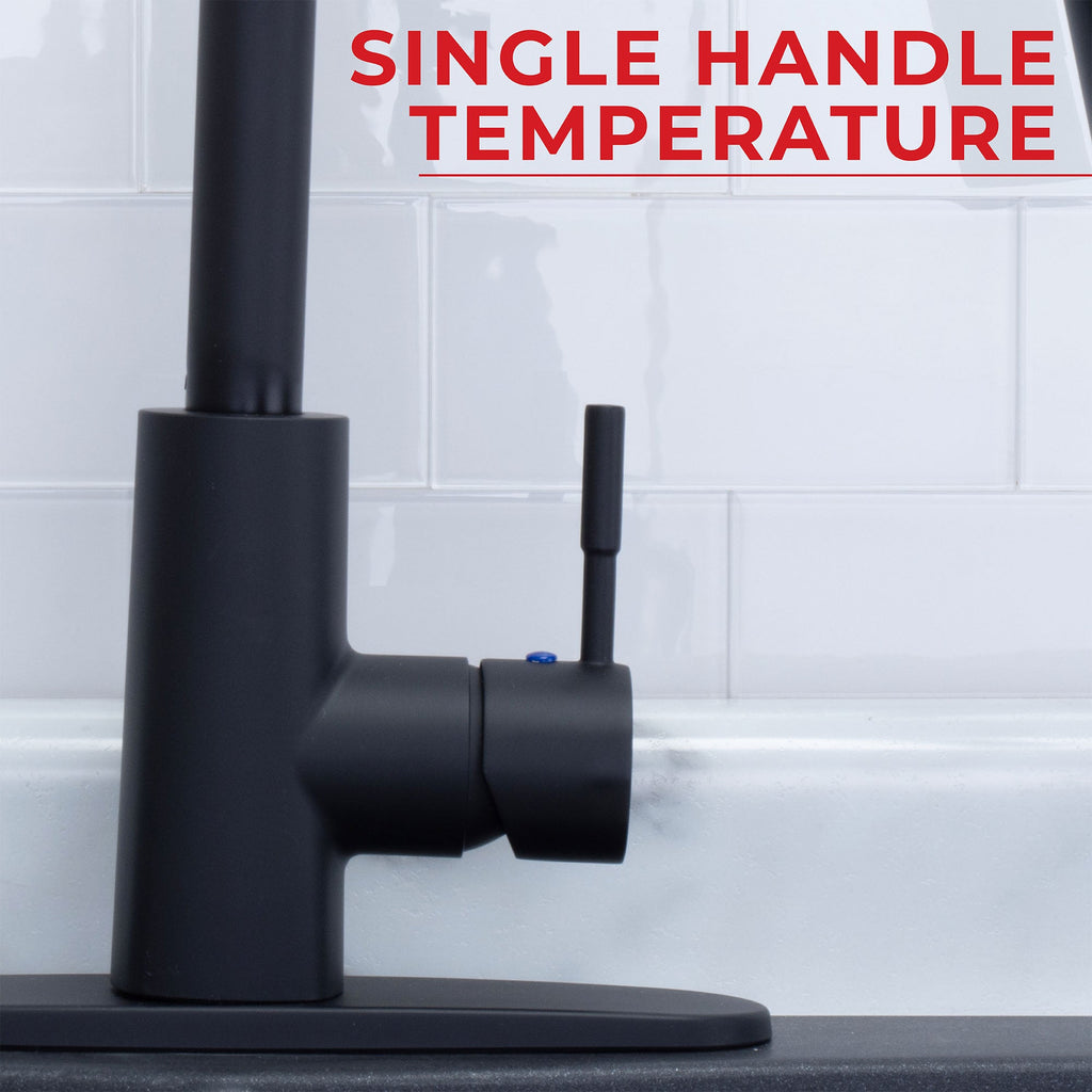 Tehila High-Arc Pull-Down Kitchen Faucet in Matte Black