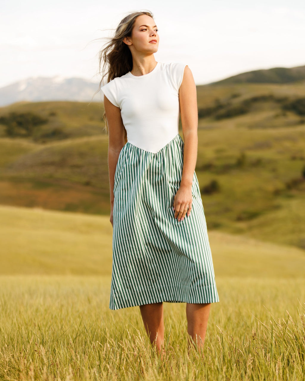 Valencia Dress — Grass Green Stripe