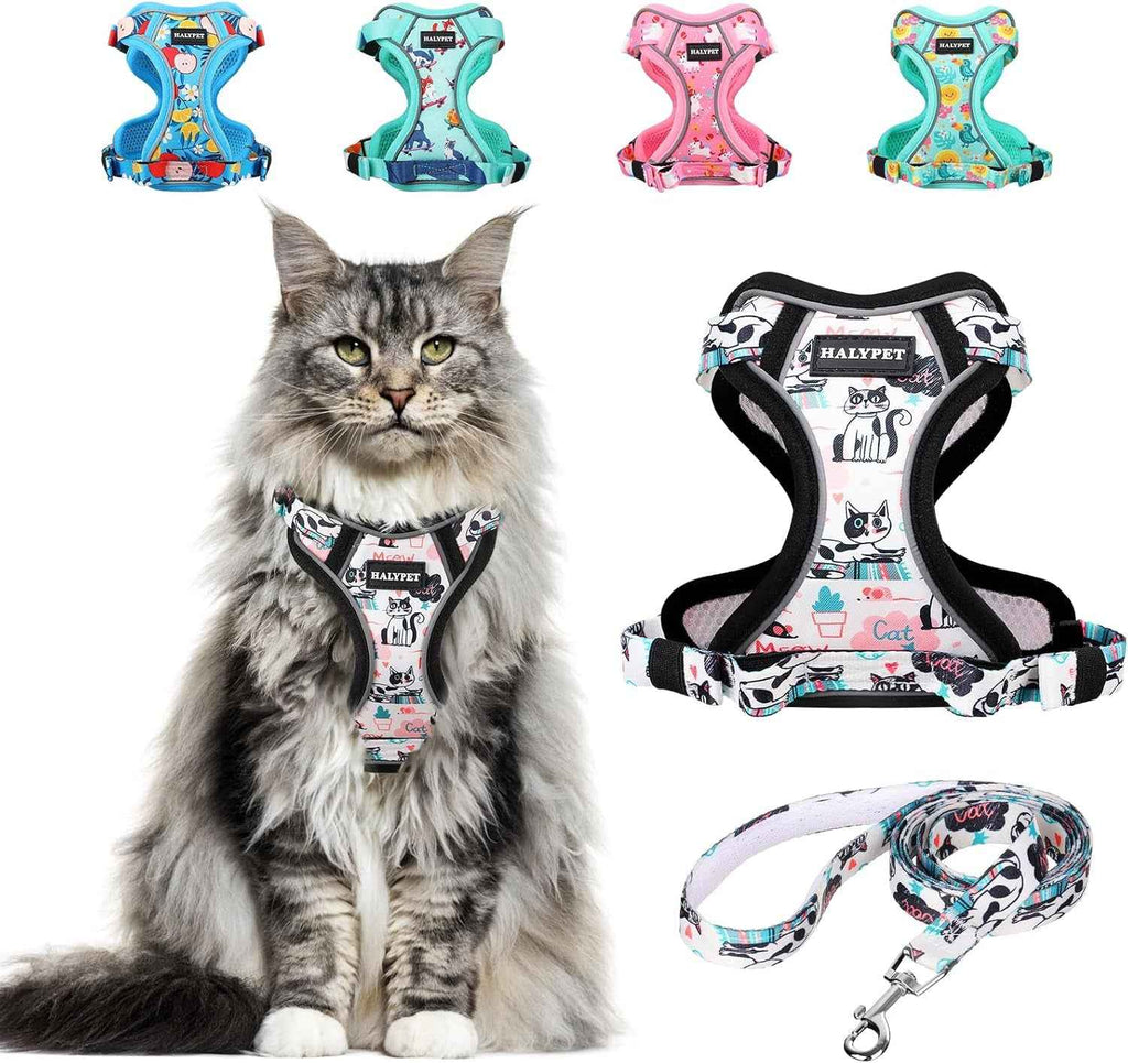 Cat wearing a patterned harness with matching leash, surrounded by various colorful harnesses on a white background.