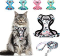 Cat wearing a patterned harness with matching leash, surrounded by various colorful harnesses on a white background.