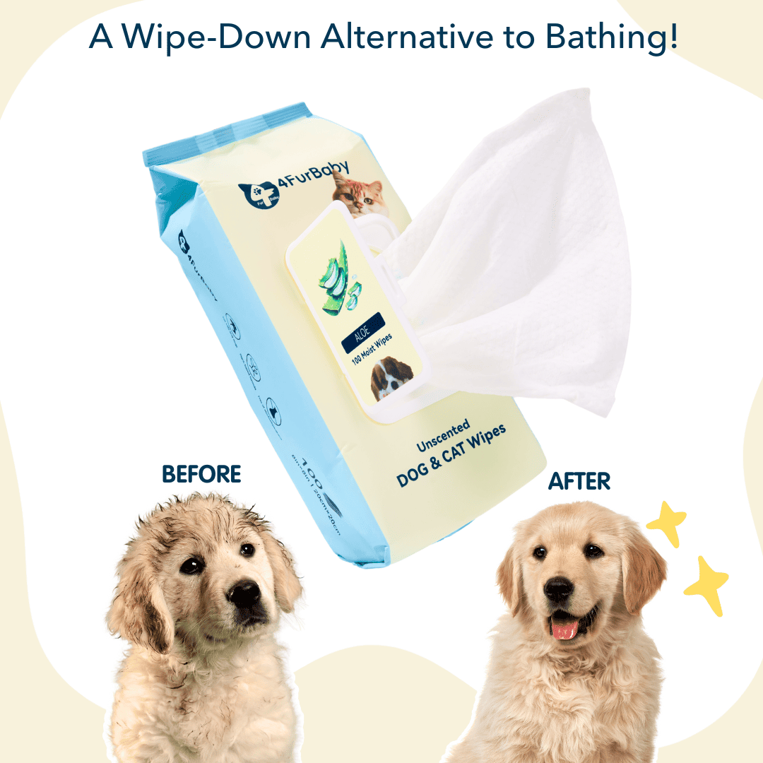 Plant-Based Dog & Cat Grooming Wipes