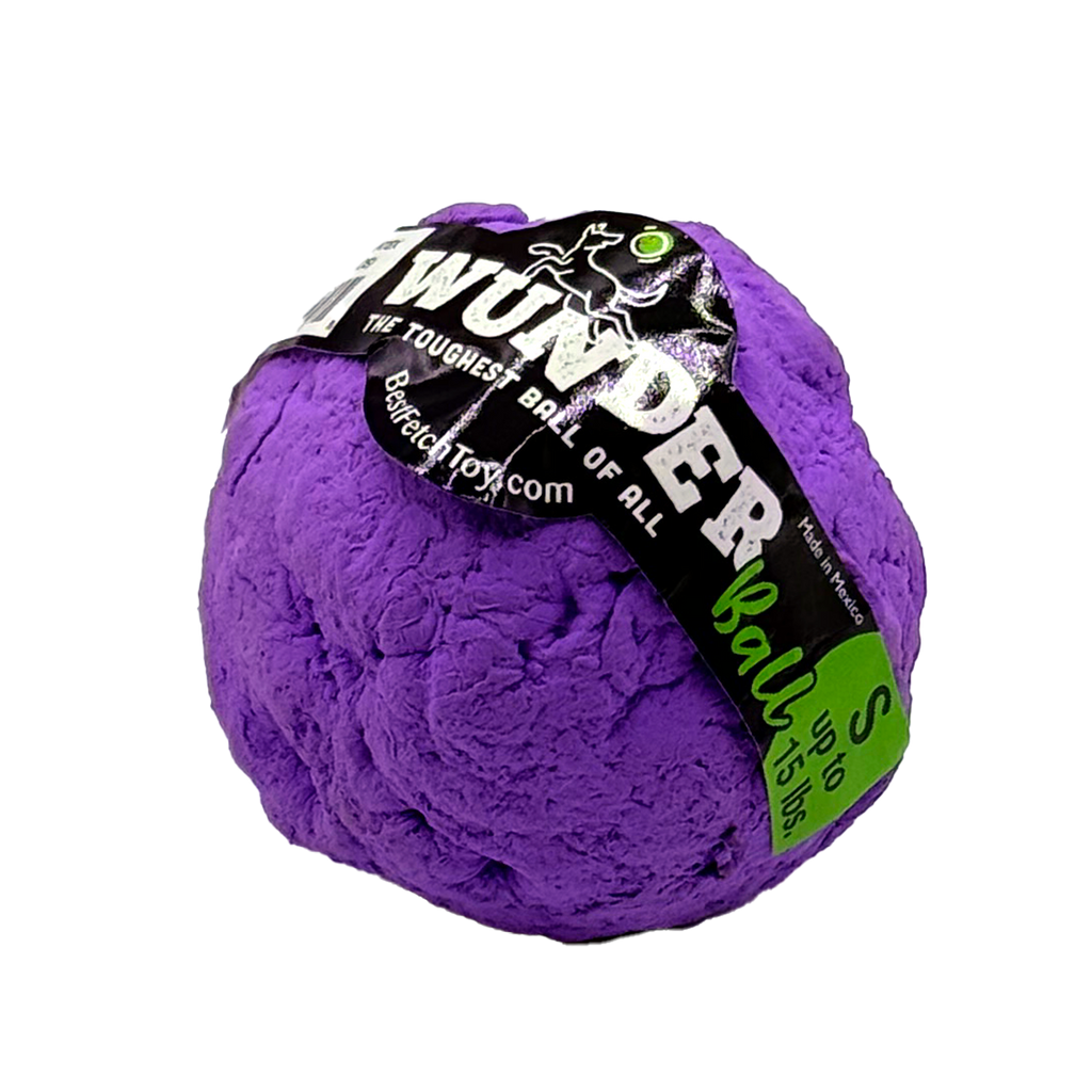 Natural Rubber Fetch Ball for Dogs