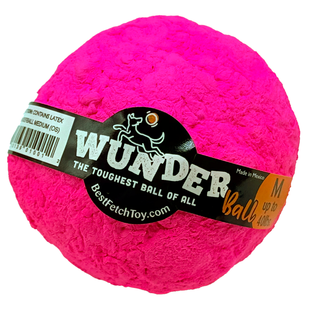 Natural Rubber Fetch Ball for Dogs