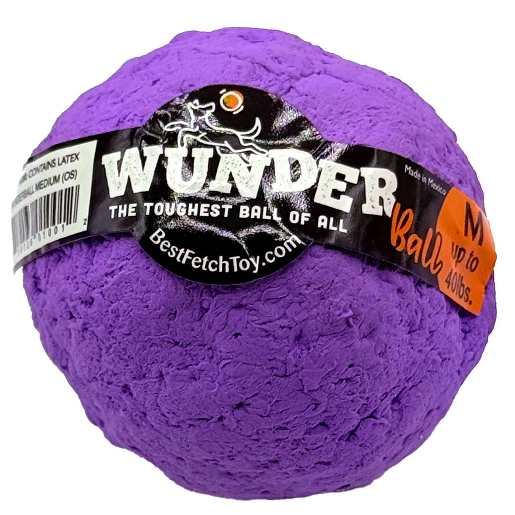 Natural Rubber Fetch Ball for Dogs