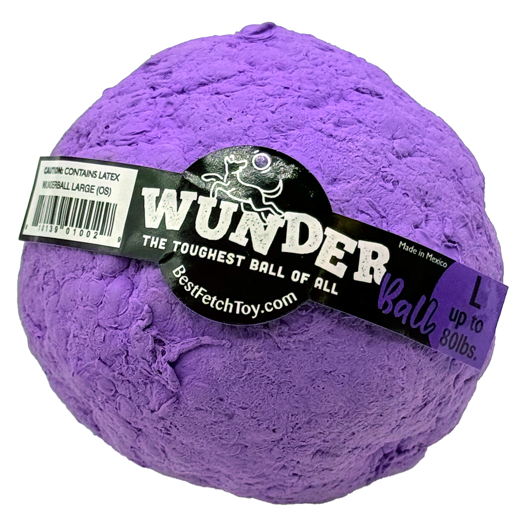 Natural Rubber Fetch Ball for Dogs