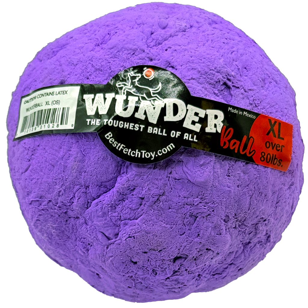 Natural Rubber Fetch Ball for Dogs