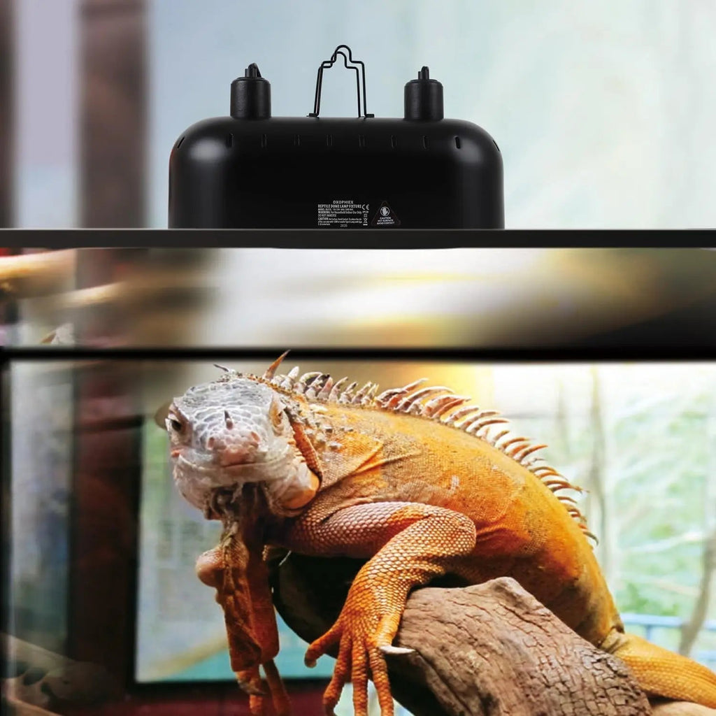 15" Dual Dome Reptile Light Fixture