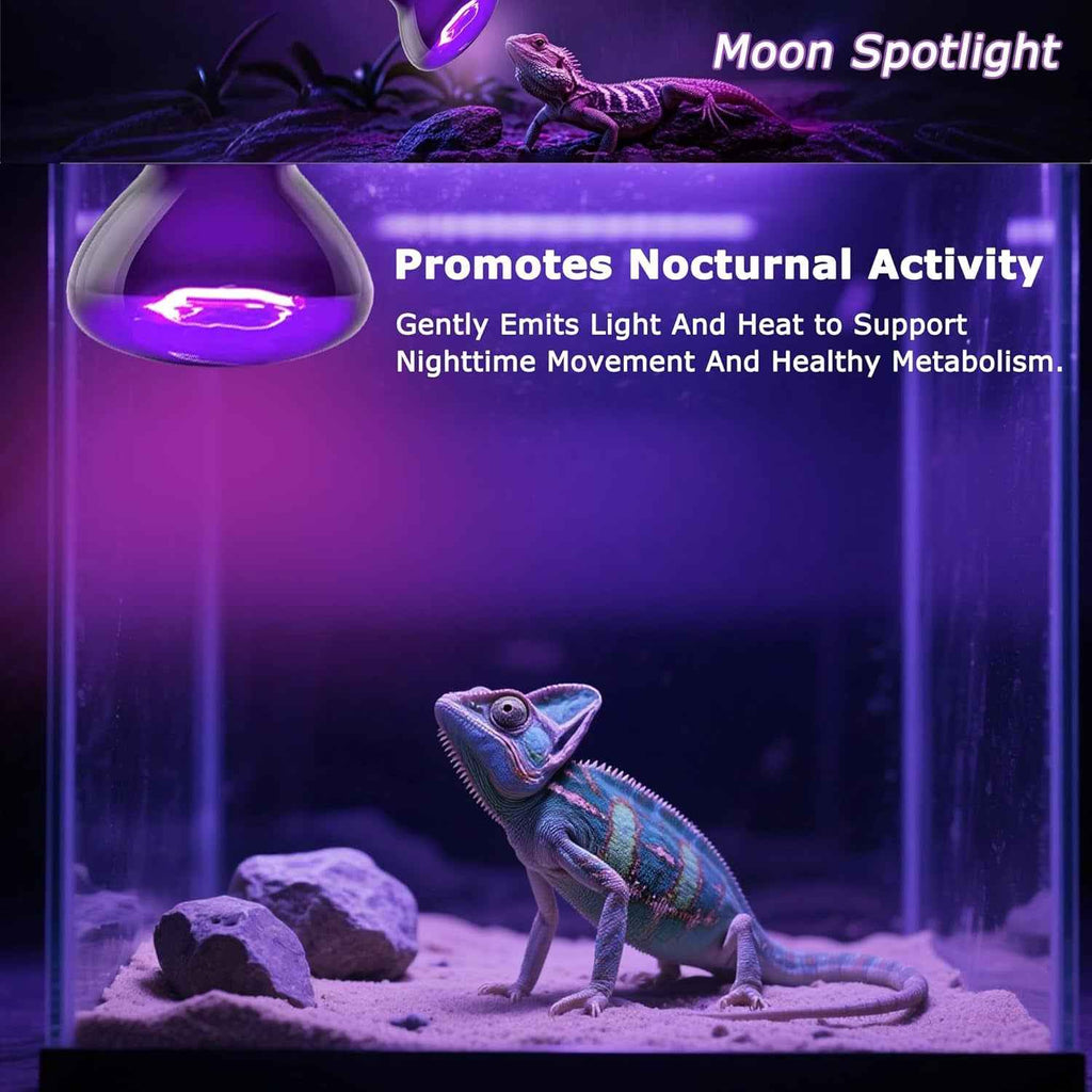 Reptile in an enclosure with a purple light labeled 'Moon Spotlight' promoting nocturnal activity.