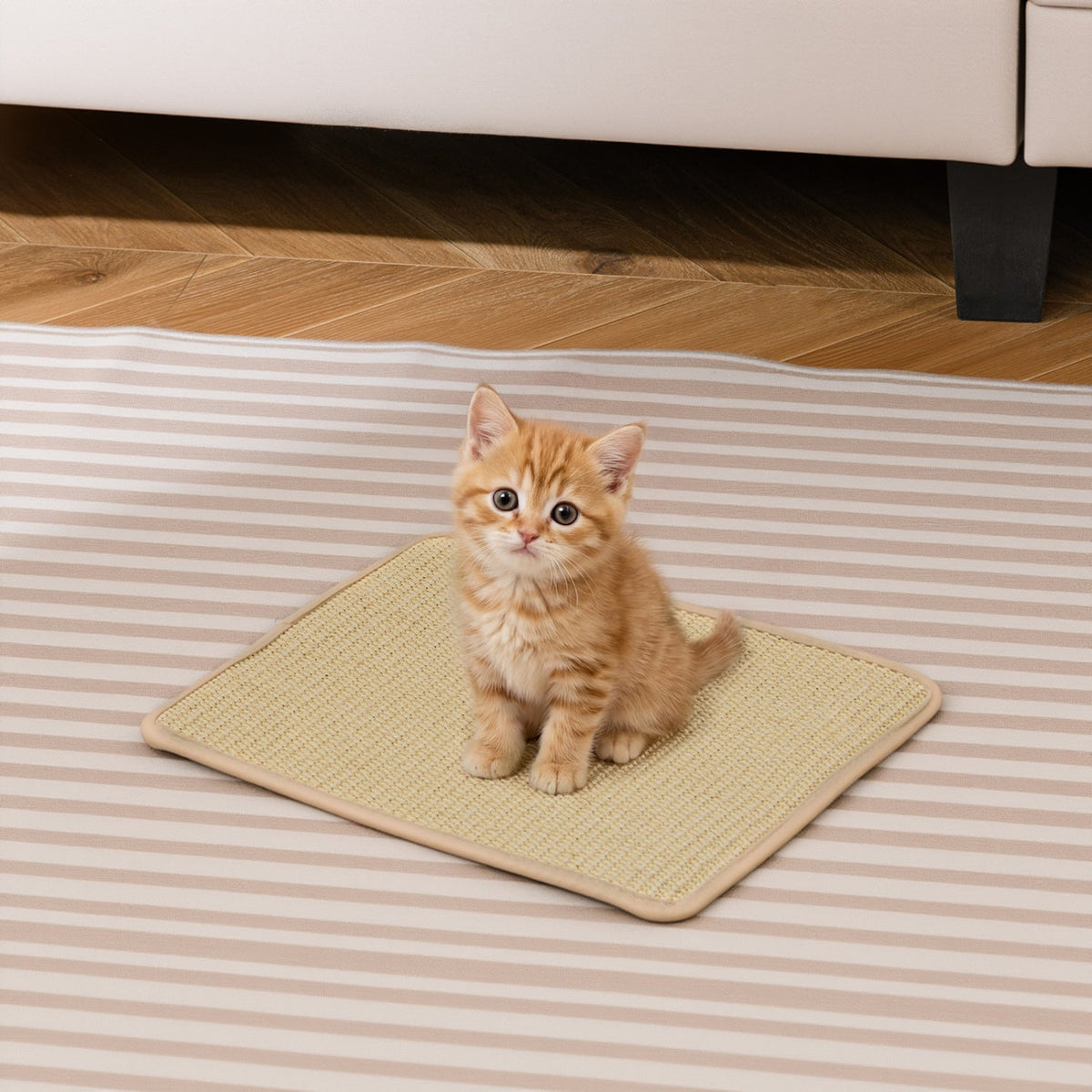 Natural Sisal Cat Scratcher Mat Set