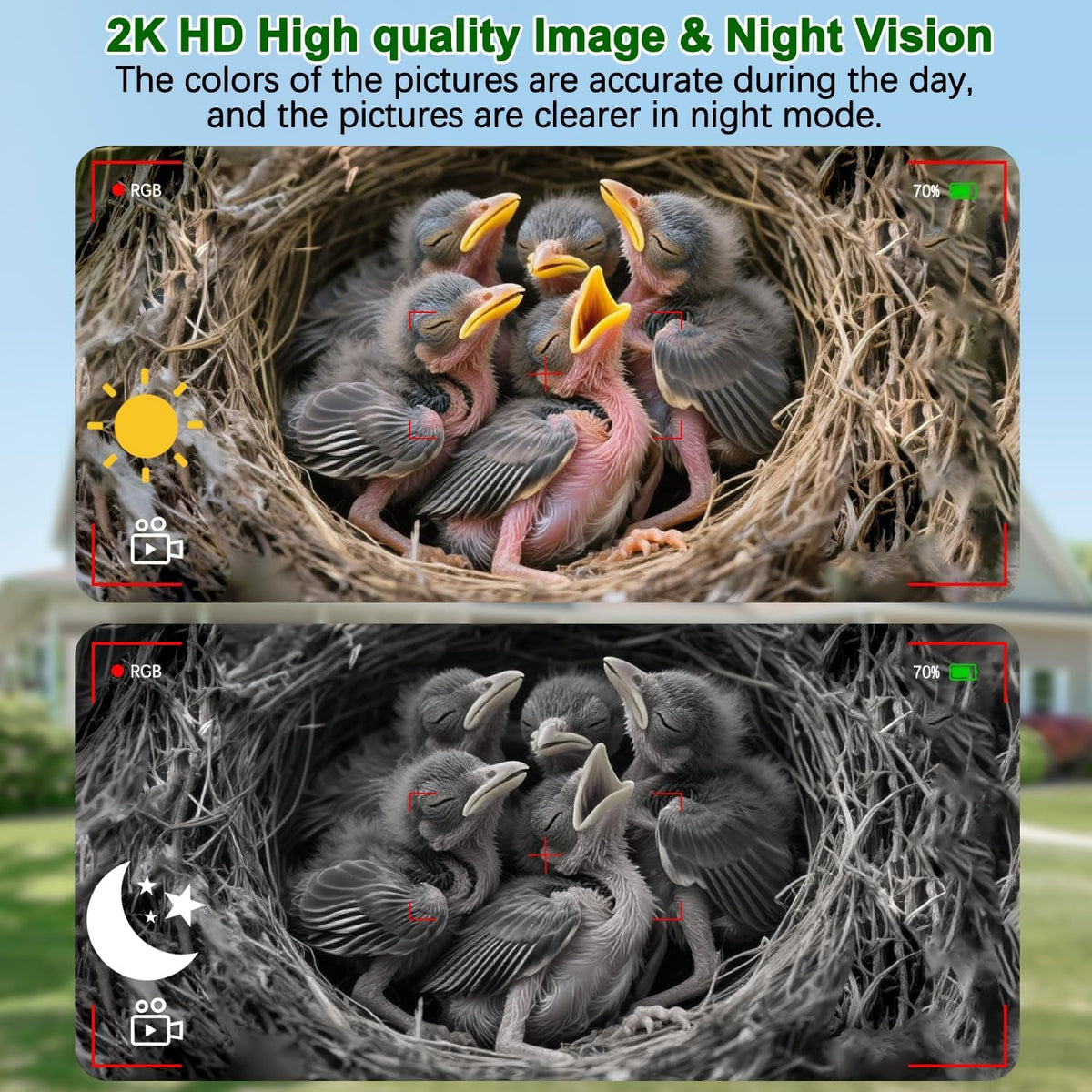 Smart Birdhouse with Camera
