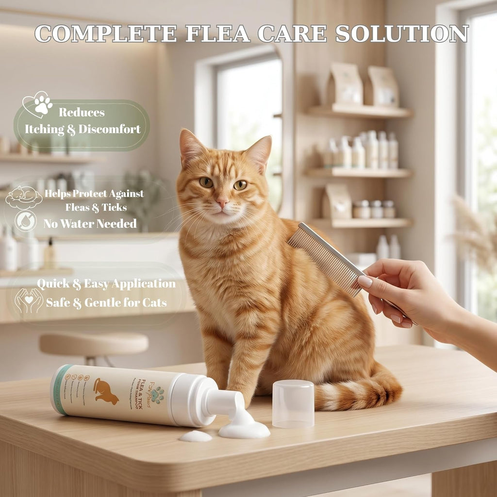 Cat being groomed with a flea comb and cream on a table in a home setting