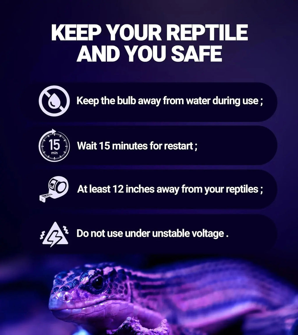 Reptile Night Heat Lamp Bulbs – 2-Pack Purple Moonlight Bulbs, No UVA | 75W & 100W | E26/E27 Base