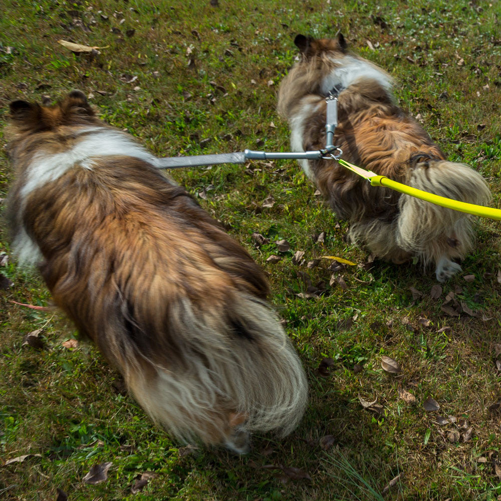 Tangle-Free Double Dog Leash Coupler