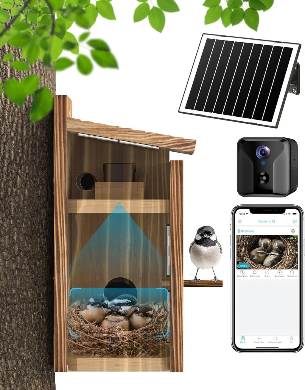 Solar-Powered Smart Birdhouse