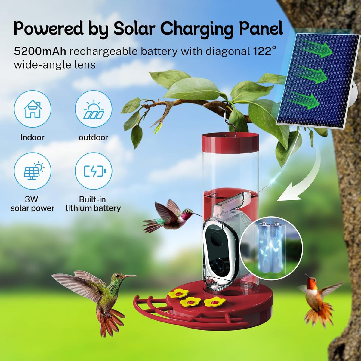 Solar-Powered Smart Hummingbird Feeder with WiFi Camera