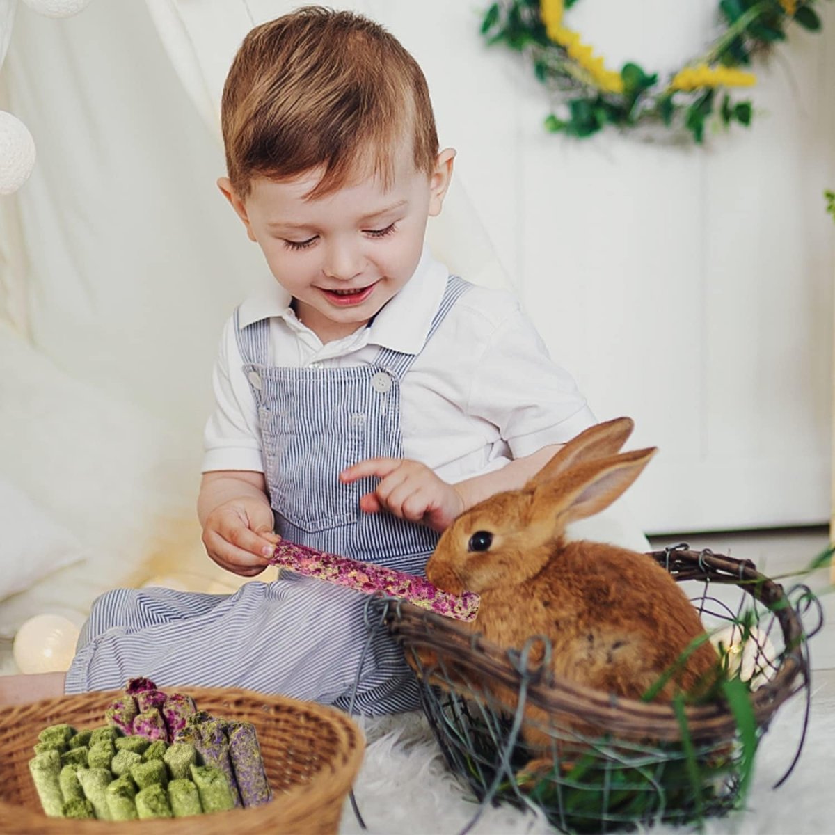 Child interacting with a rabbit in a home setting