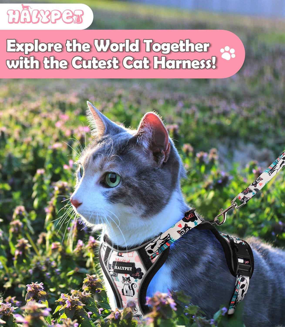 Cat wearing a harness in a field with promotional text about a cat harness brand.