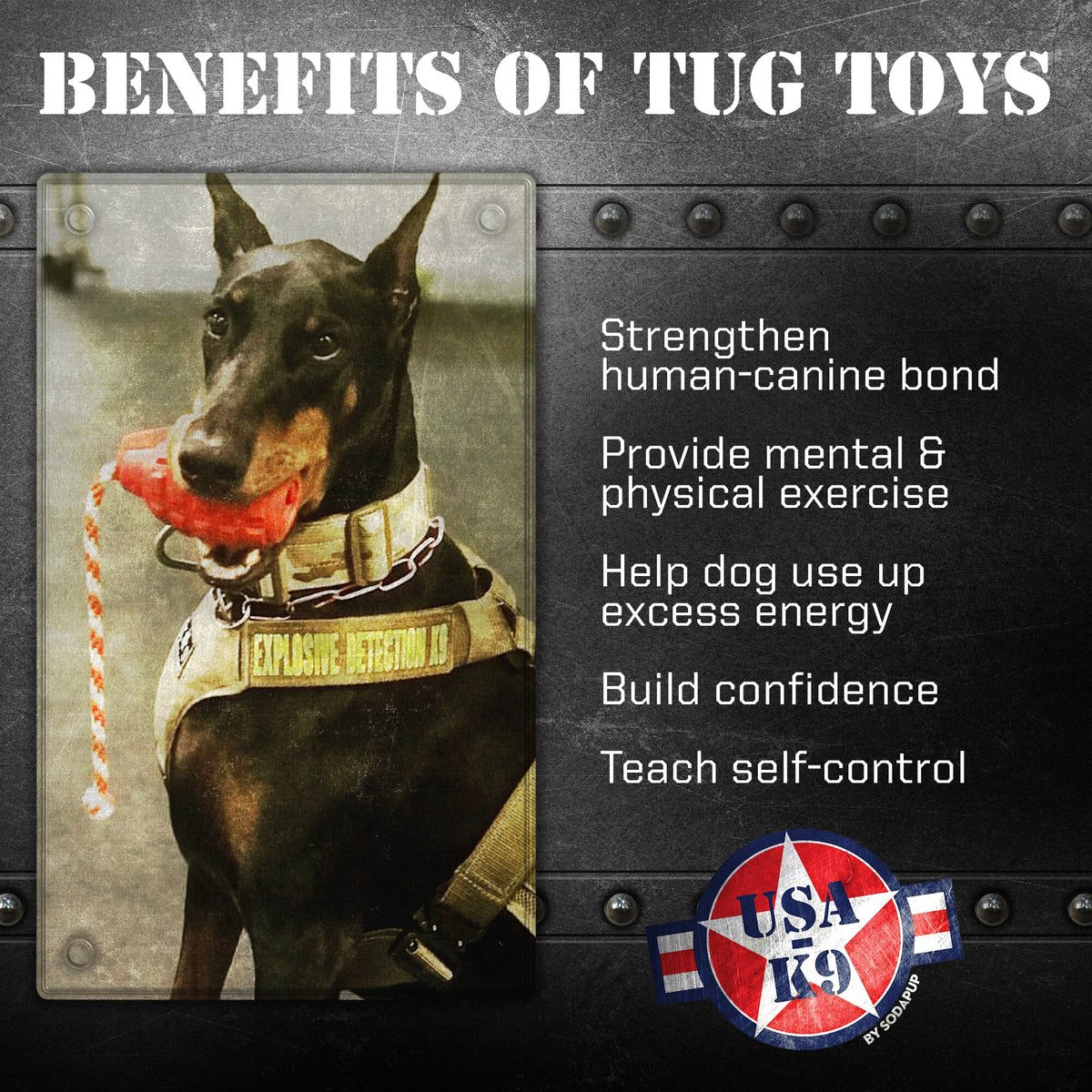 Large Grenade Rubber Dog Toy
