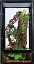 Reptile terrarium with plants and a green lizard inside