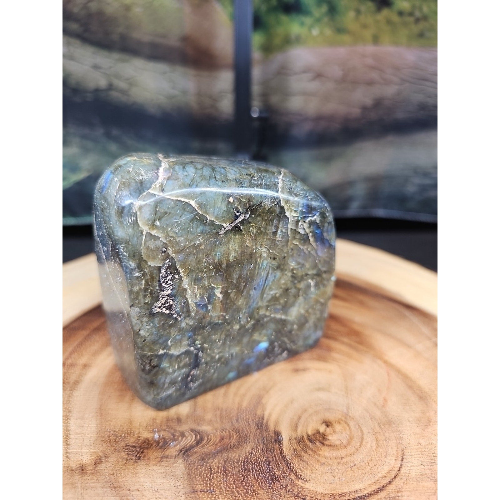 Rainbow Labradorite Spectrolite Specimen — 1.60 lb | Large Natural Crystal from Madagascar