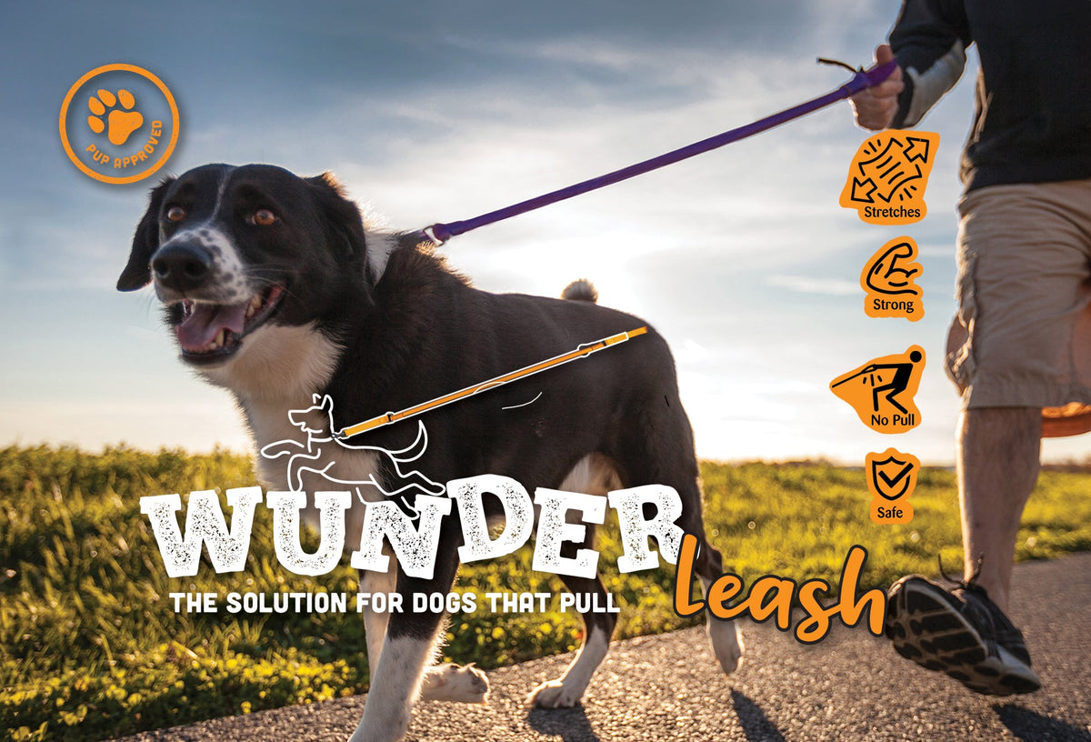 The Original No-Pull Dog Leash