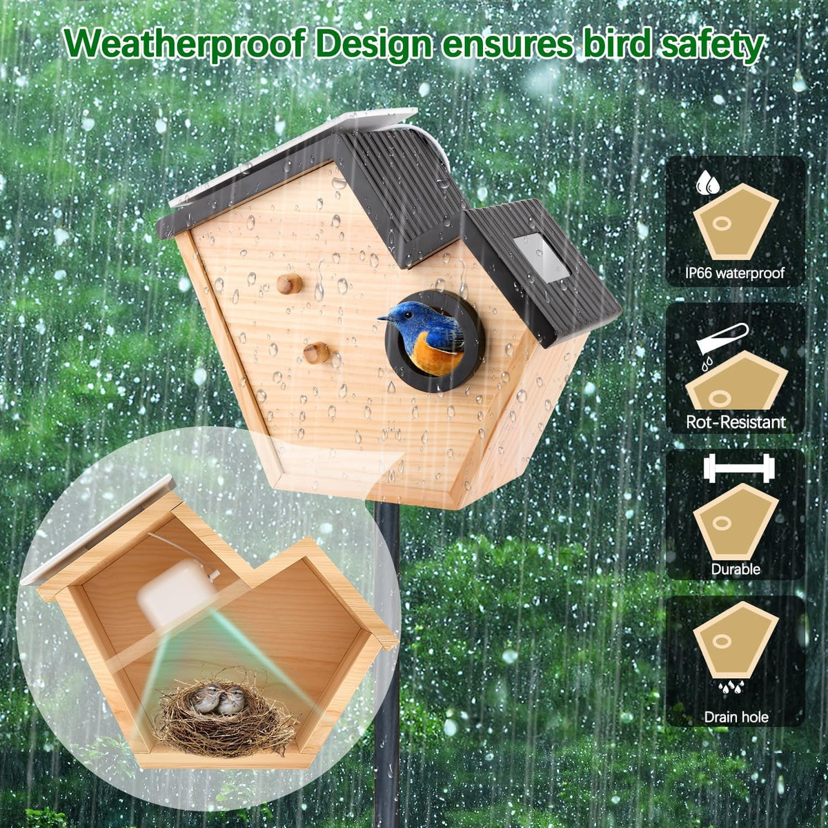 Smart Birdhouse with Camera