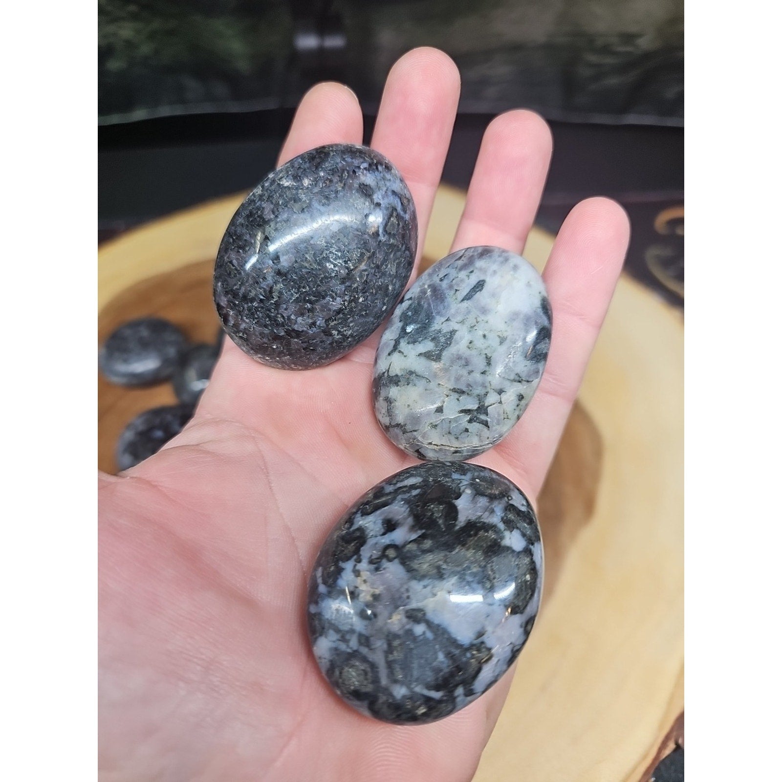 Polychrome Merlinite Gabbro Palm Stones — 5-Piece Set | Natural Crystal from Madagascar