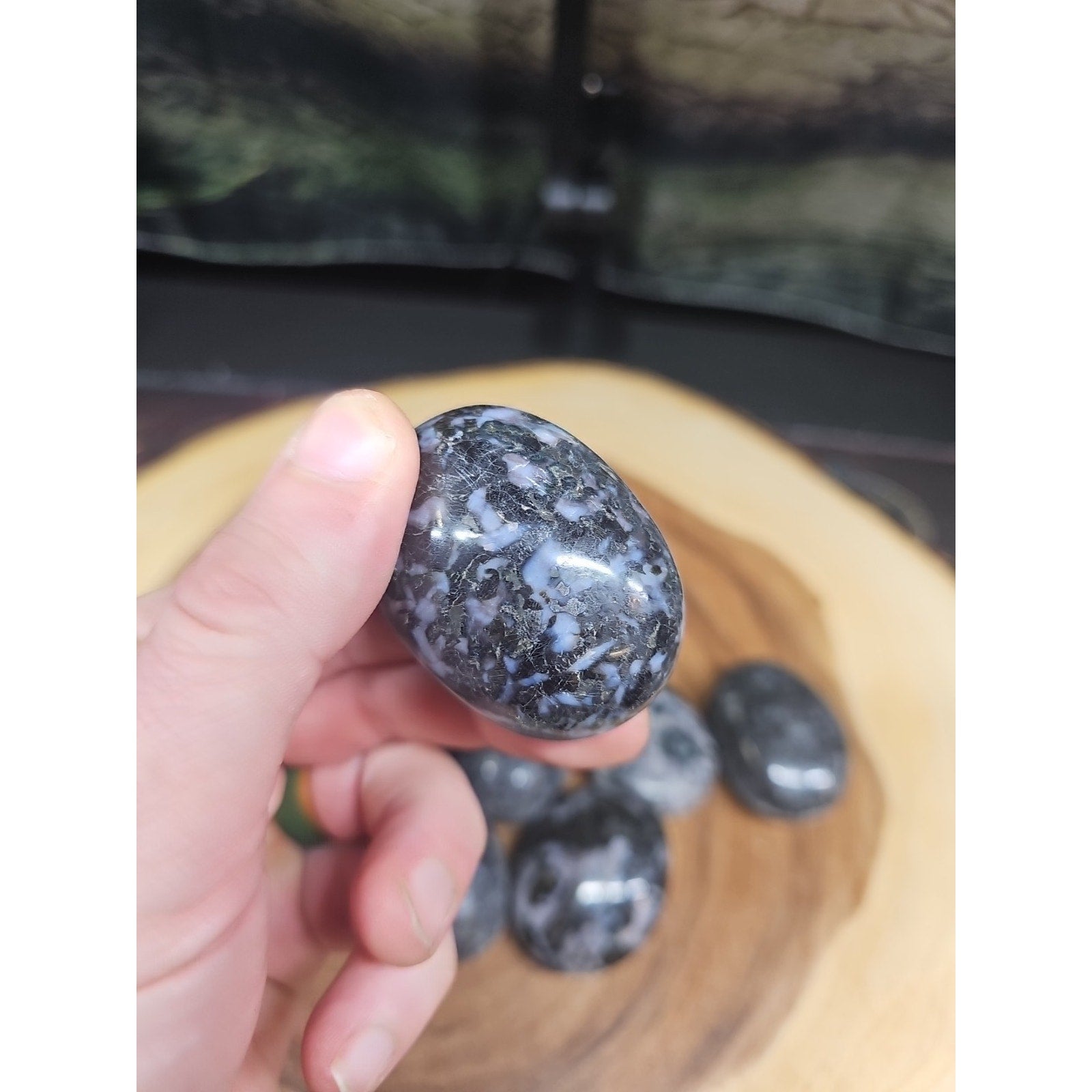 Polychrome Merlinite Gabbro Palm Stones — 5-Piece Set | Natural Crystal from Madagascar