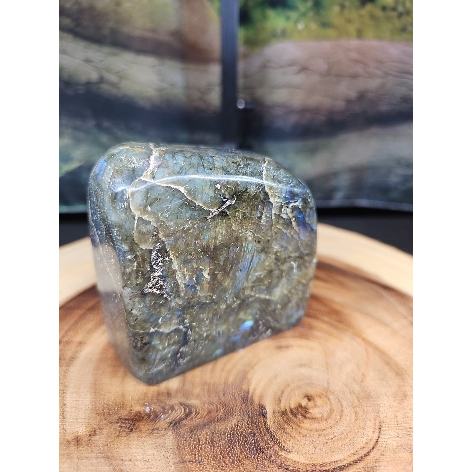 Rainbow Labradorite Spectrolite Specimen — 1.60 lb | Large Natural Crystal from Madagascar