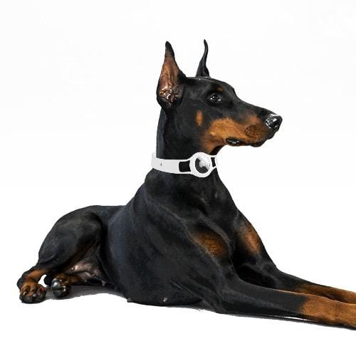 Silicone Pet Collar for Apple AirTag