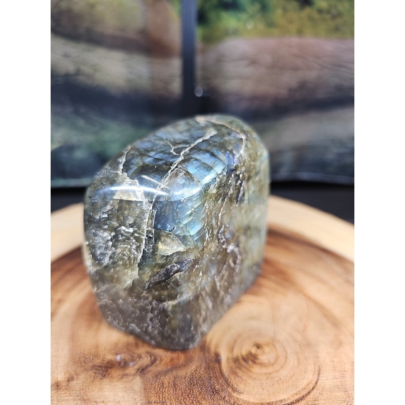Rainbow Labradorite Spectrolite Specimen — 1.60 lb | Large Natural Crystal from Madagascar