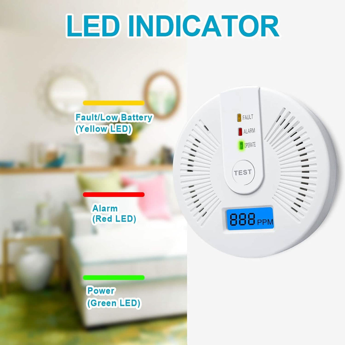Portable Carbon Monoxide Detector