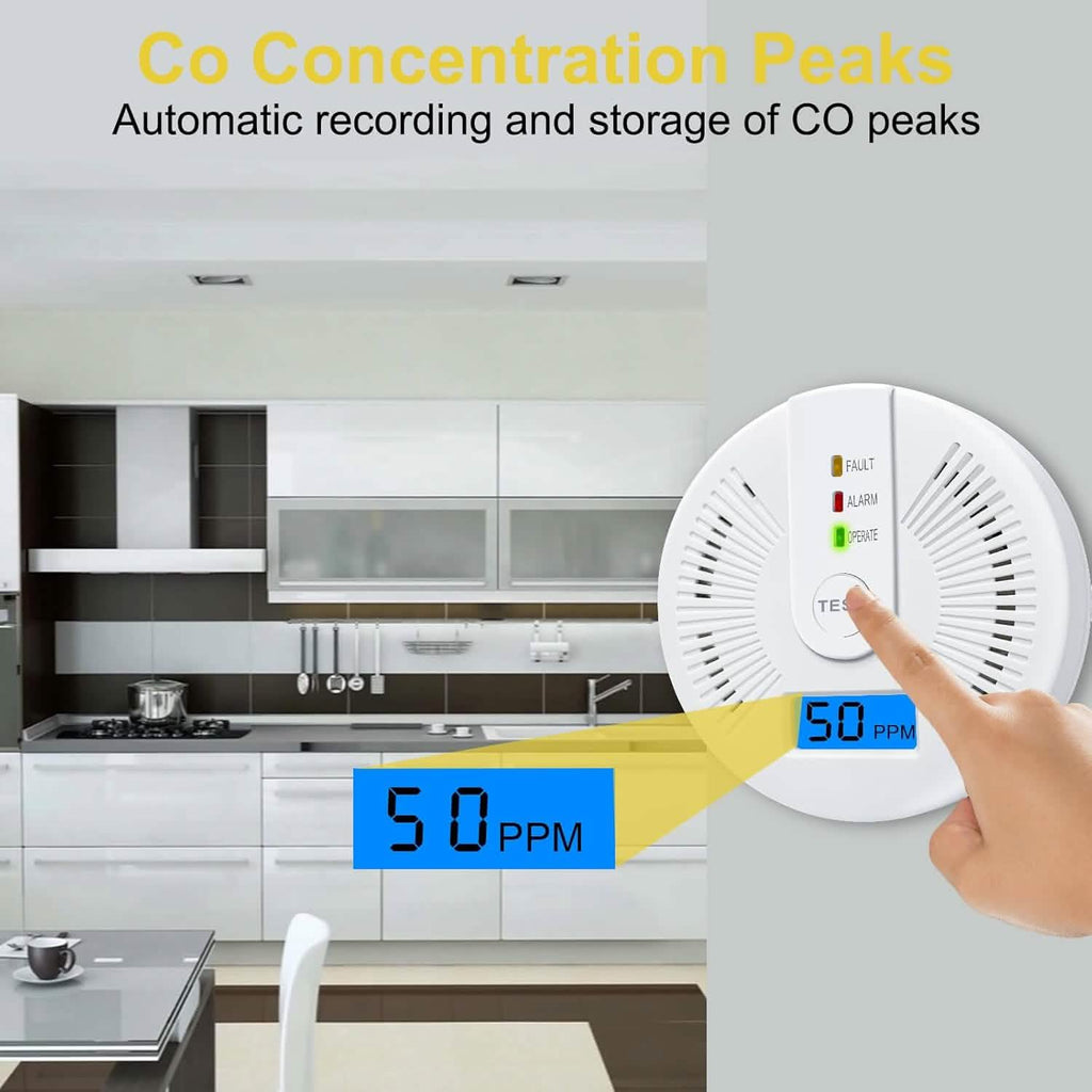 Portable Carbon Monoxide Detector