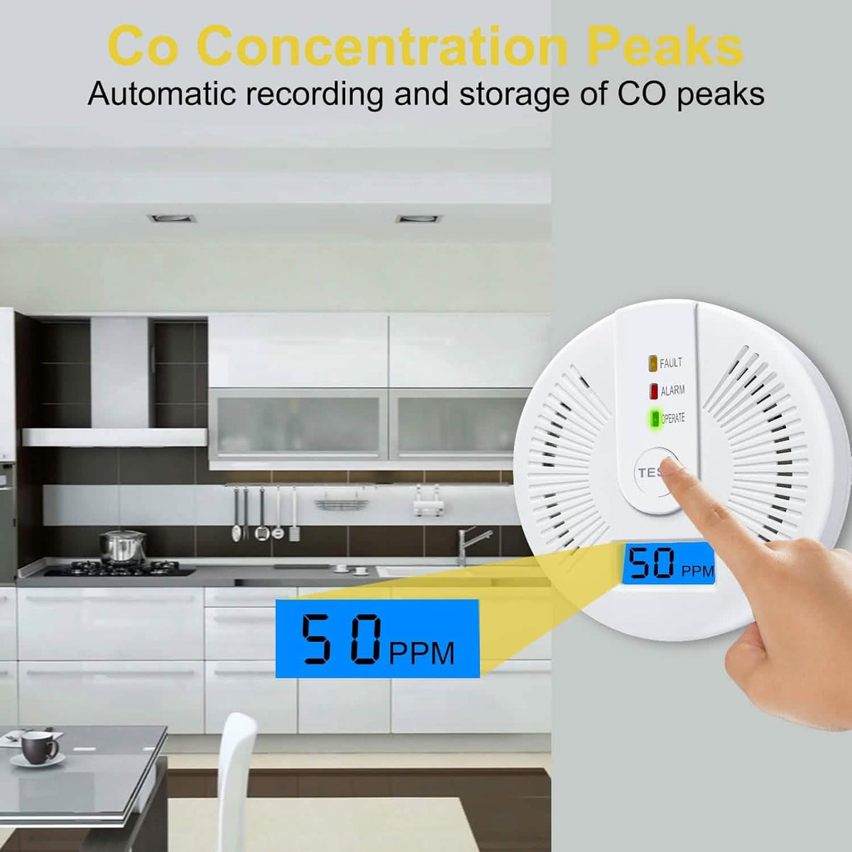 Portable Carbon Monoxide Detector