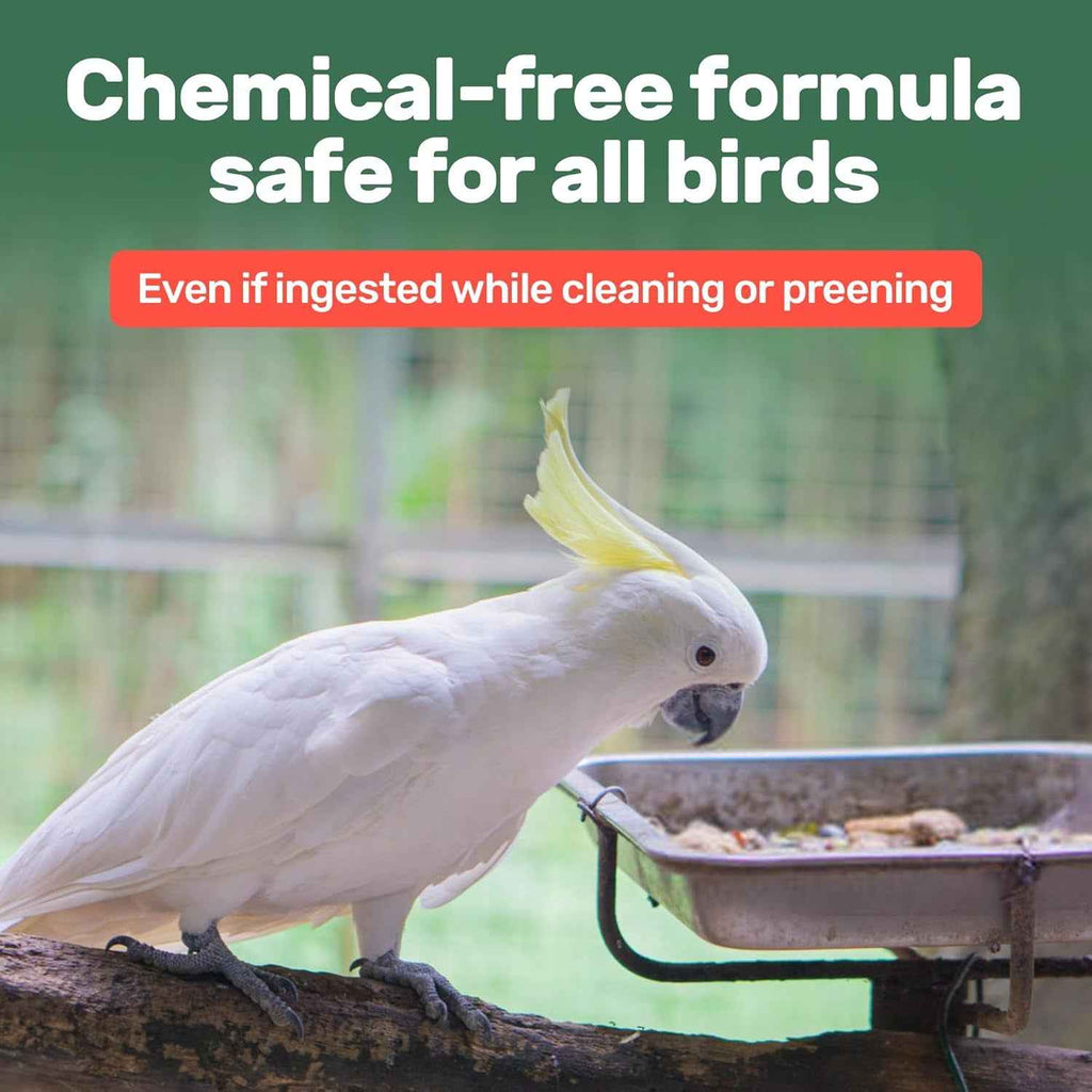 White cockatoo perched on a branch with text about chemical-free bird formula