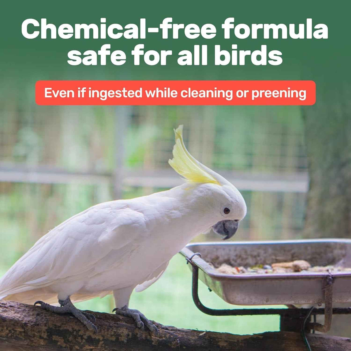 White cockatoo perched on a branch with text about chemical-free bird formula