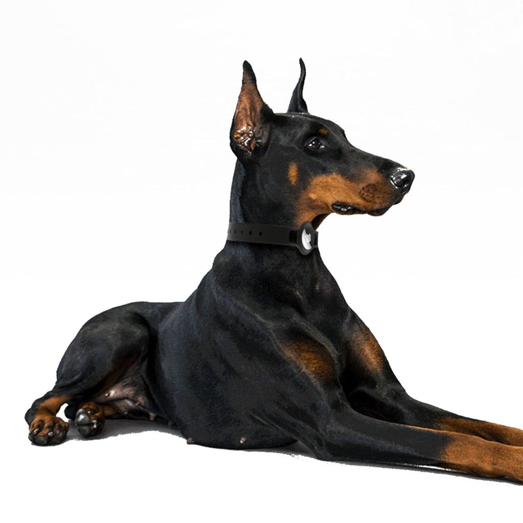 Silicone Pet Collar for Apple AirTag