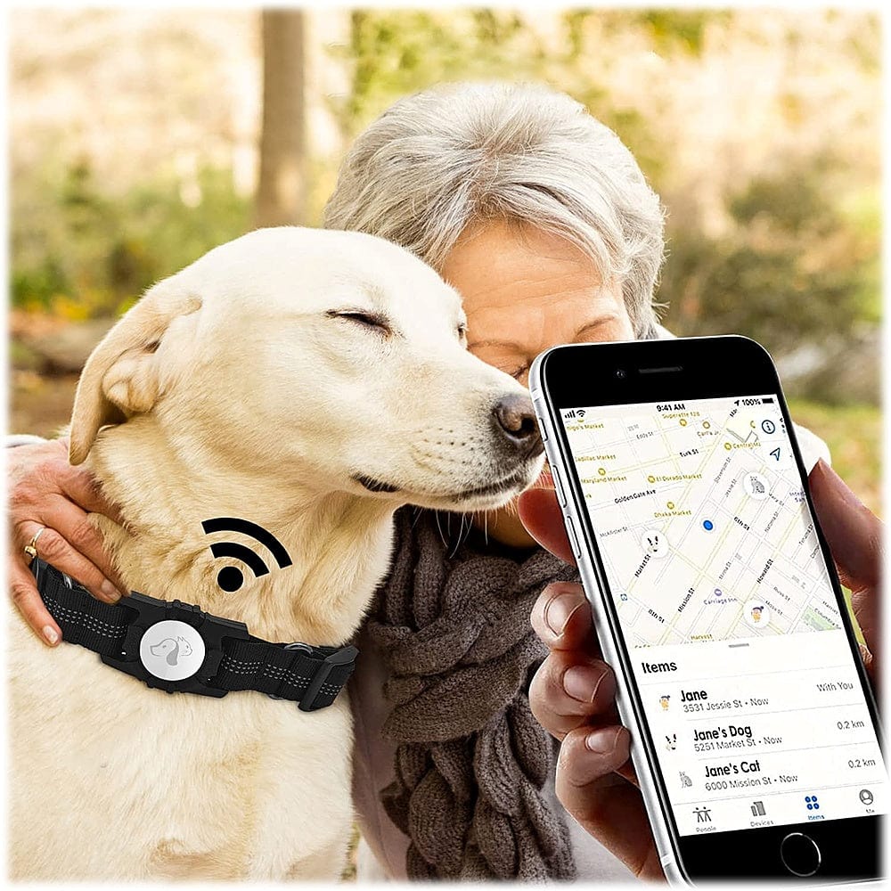 Nylon Dog Collar for Apple AirTag