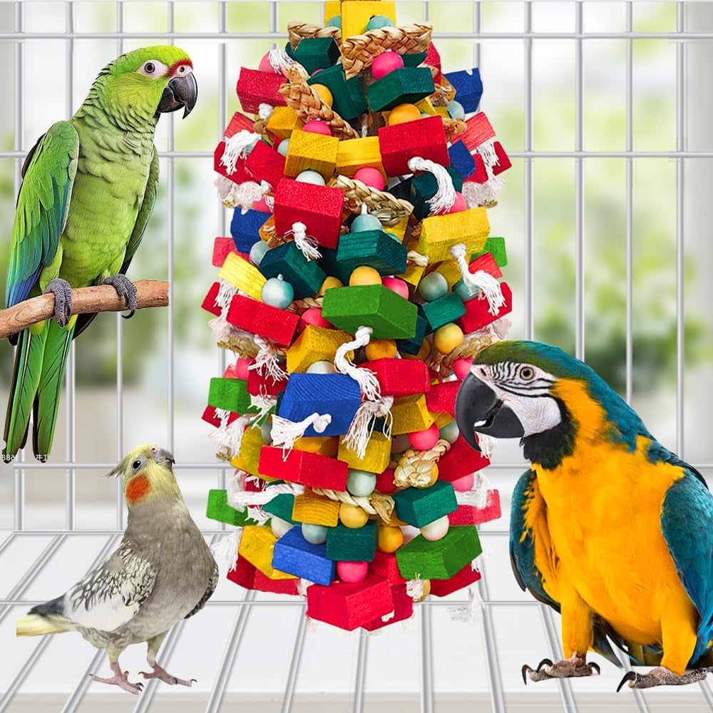Large Bird Toy Bundle –  2 Pack