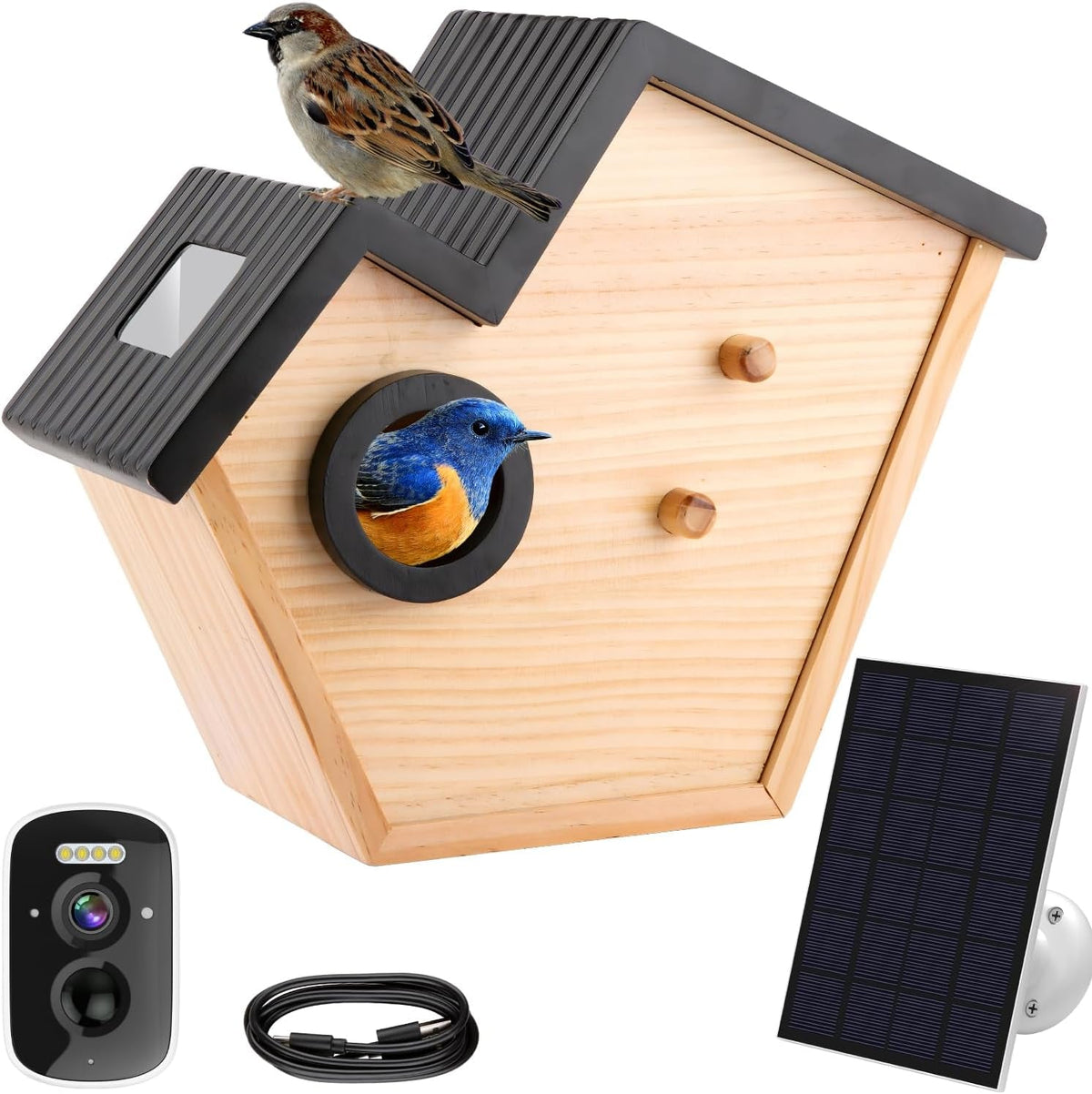 Smart Birdhouse with Camera