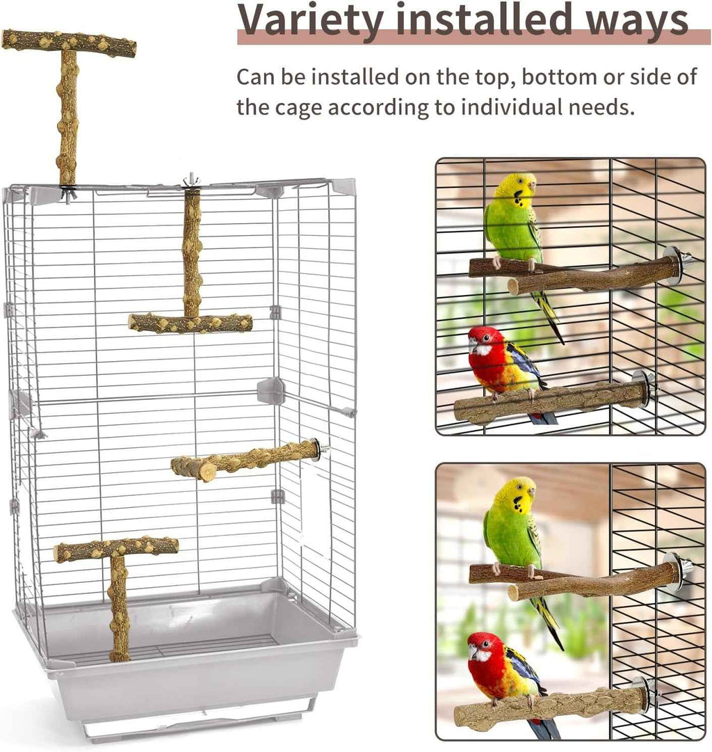 Bird cage with perches and birds on a white background