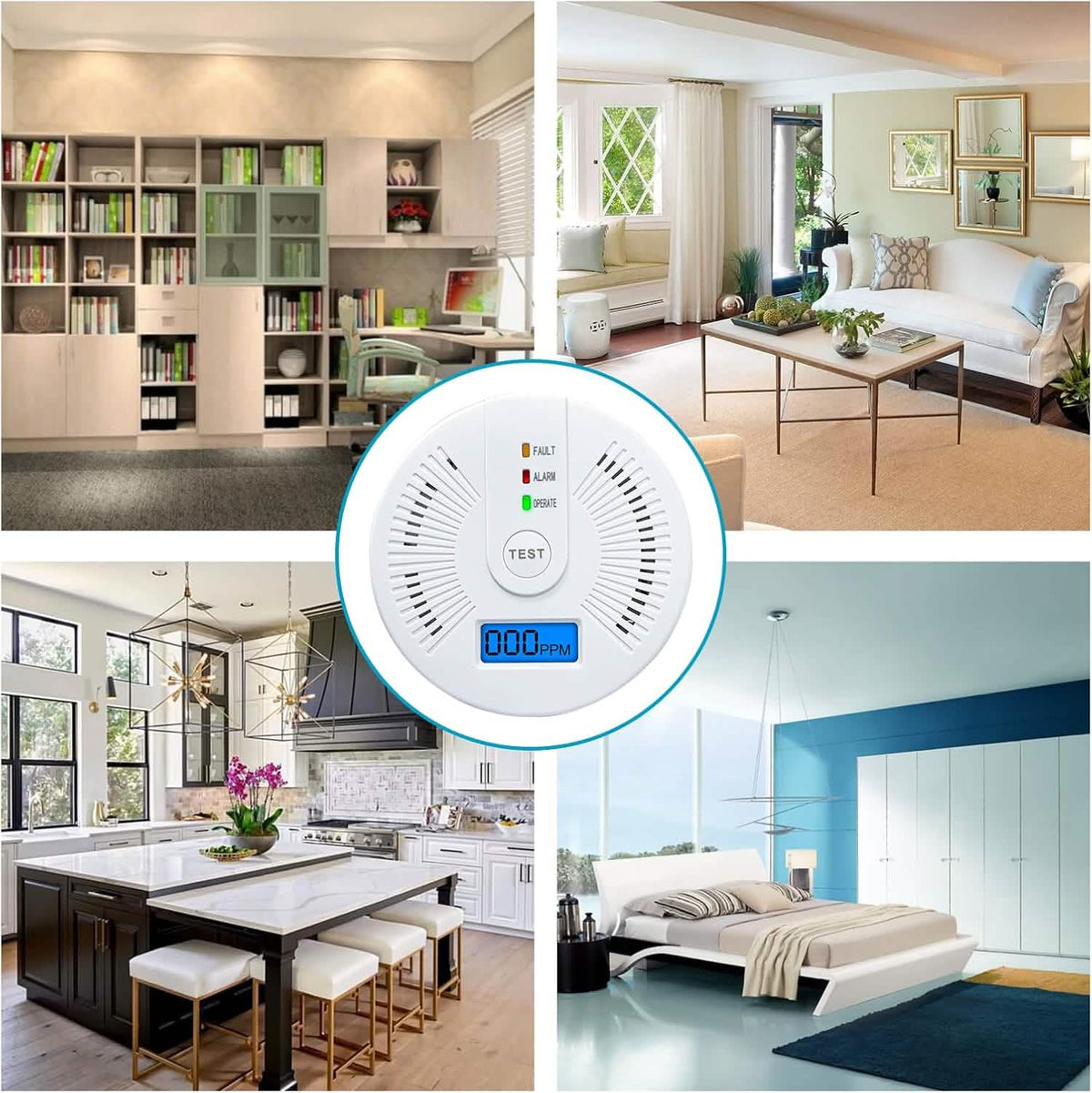Portable Carbon Monoxide Detector