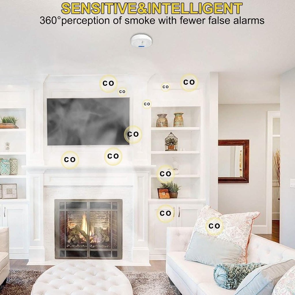 Portable Carbon Monoxide Detector