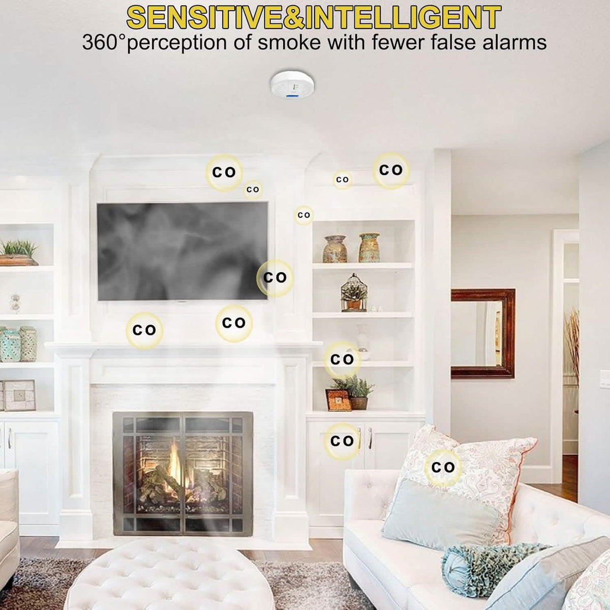 Portable Carbon Monoxide Detector