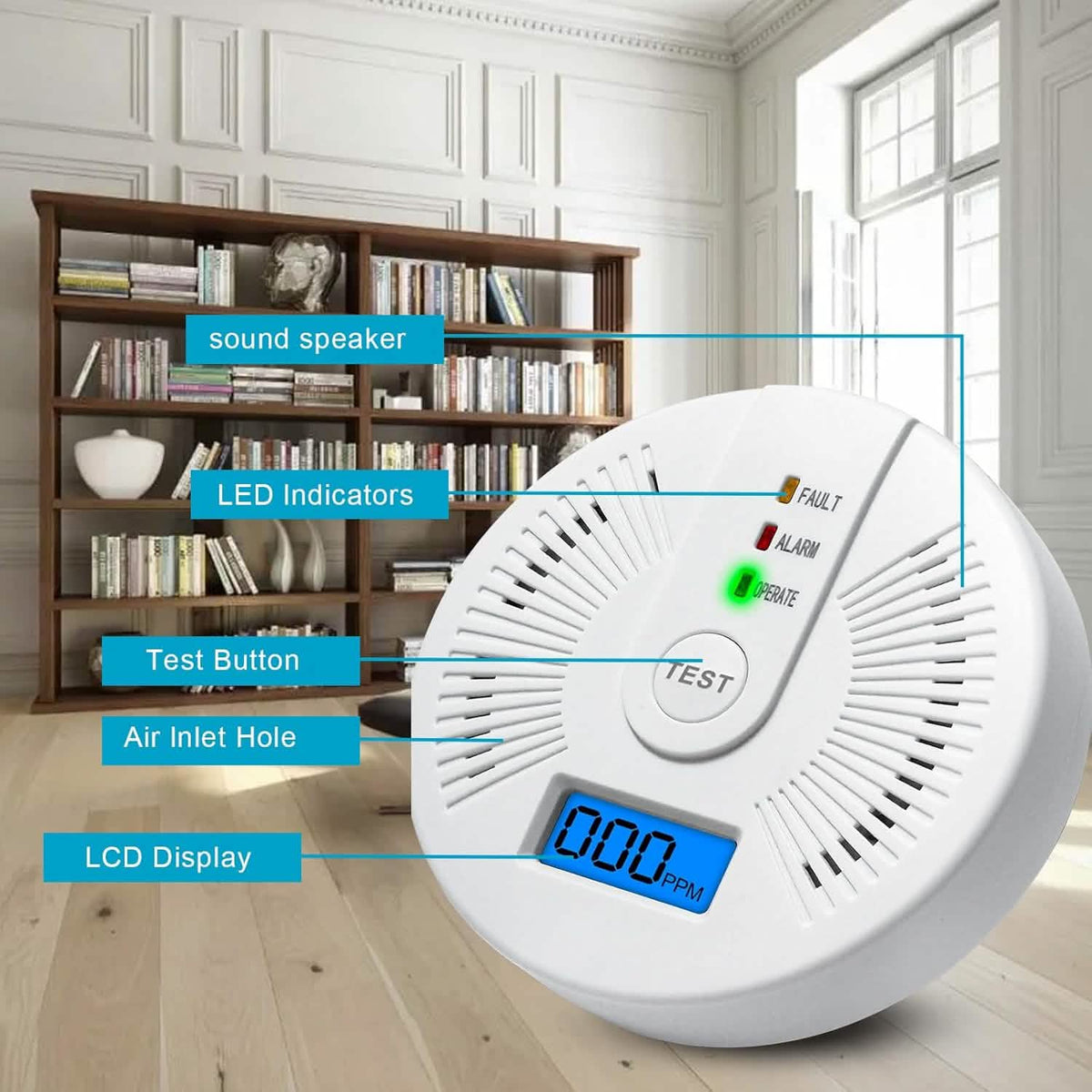 Portable Carbon Monoxide Detector