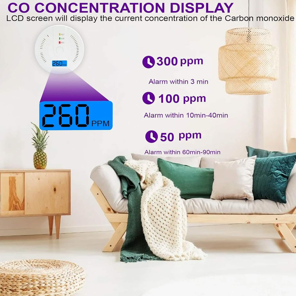 Portable Carbon Monoxide Detector