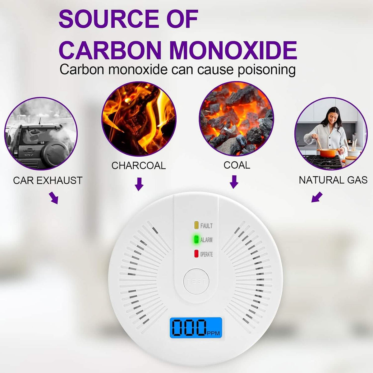 Portable Carbon Monoxide Detector
