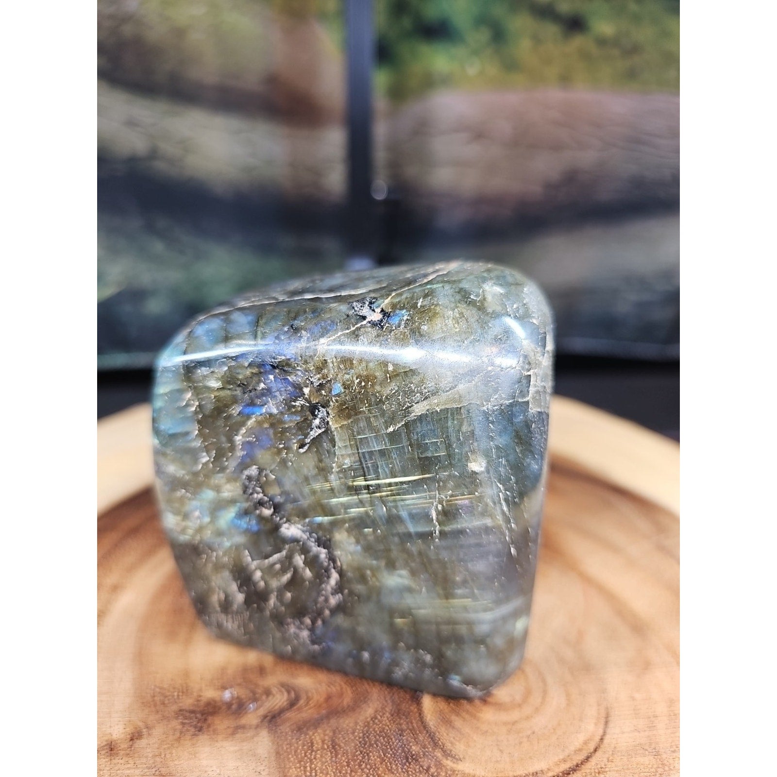 Rainbow Labradorite Spectrolite Specimen — 1.60 lb | Large Natural Crystal from Madagascar