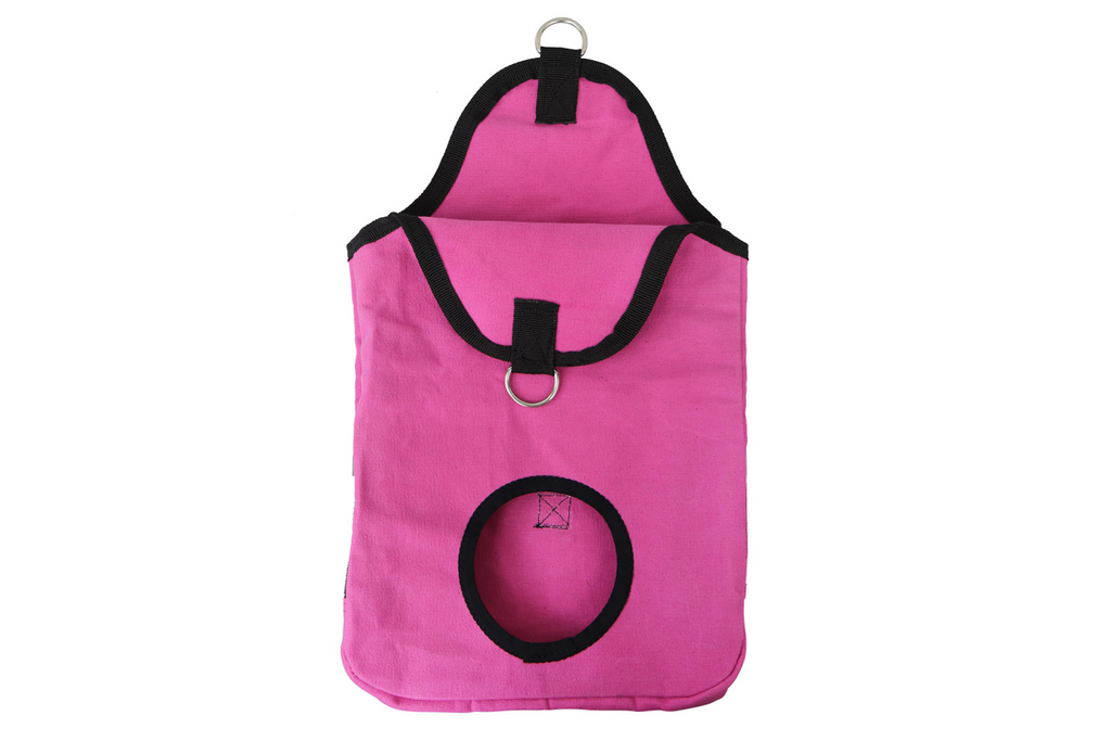 Pink Canvas Hay Bag for Guinea Pigs & Rabbits